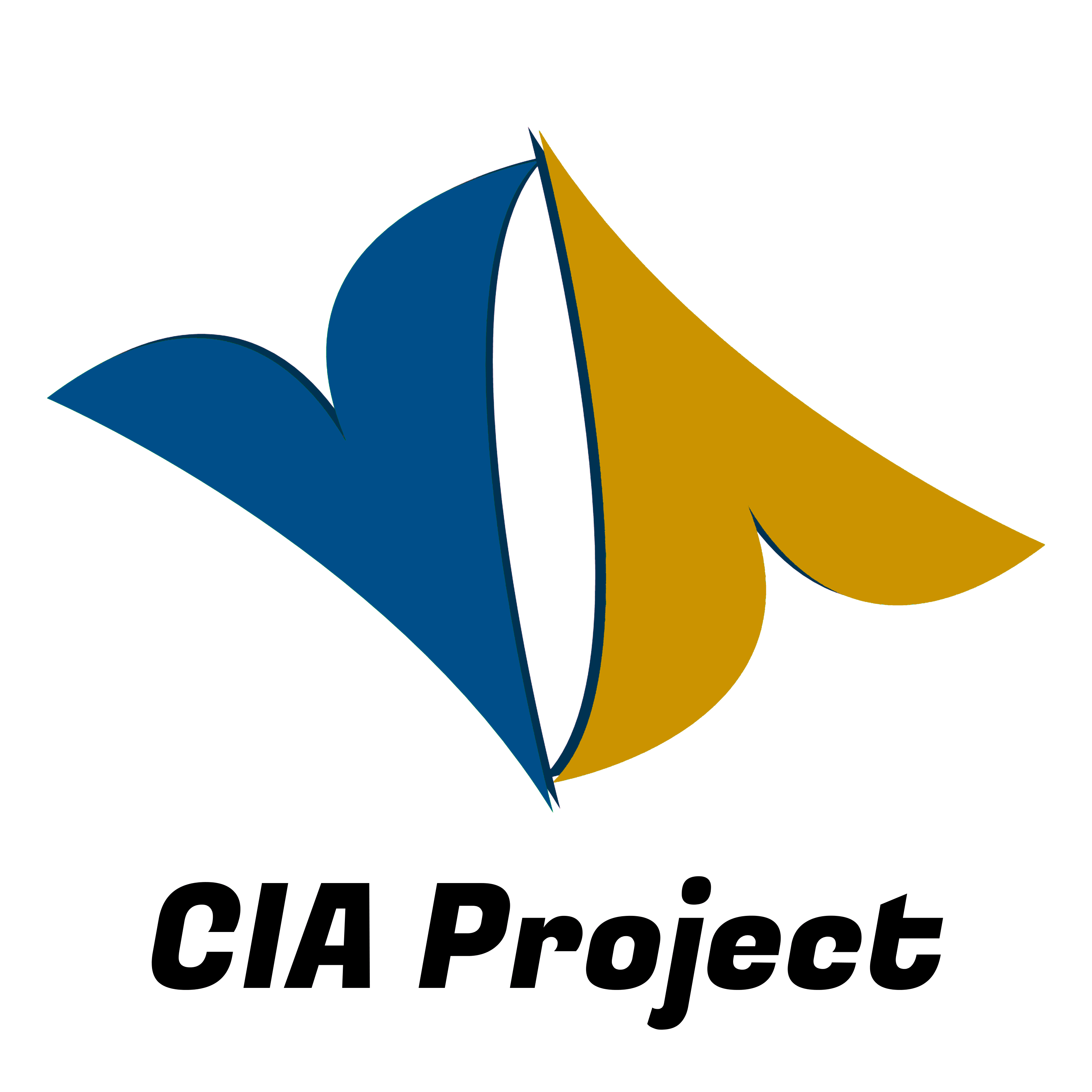 CIA Project